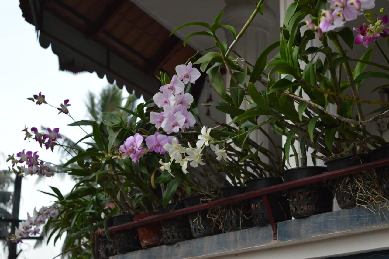 Dream Catcher Home Stay Kochi エクステリア 写真